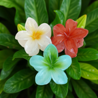 Plumeria Flower Hair Claw Clip, Set of 3 Clips on green leafy background. Featuring tropical gradient designs in Red, White and Green. Curated by Ladylike Accoutre.