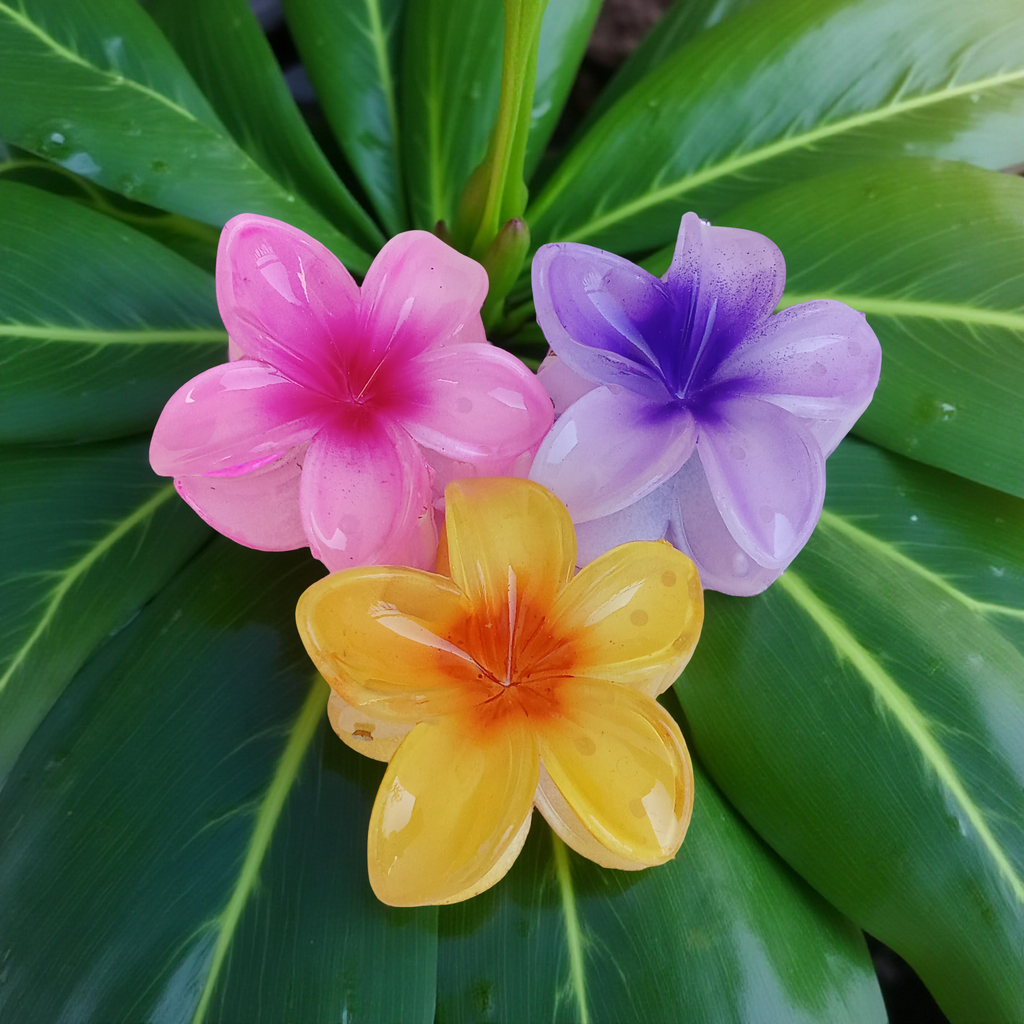 Plumeria Flower Hair Claw Clip, Set of 3 Clips on green leafy background. Featuring tropical gradient designs in Purple, Yellow and Pink. Curated by Ladylike Accoutre.