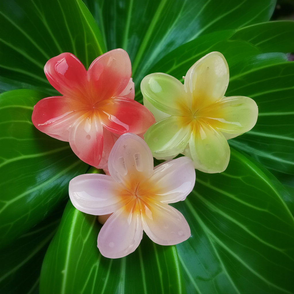 Plumeria Flower Hair Claw Clip, Set of 3Clips on green leafy background. Featuring tropical gradient designs in Lavender, Green and Red. Curated by Ladylike Accoutre.
