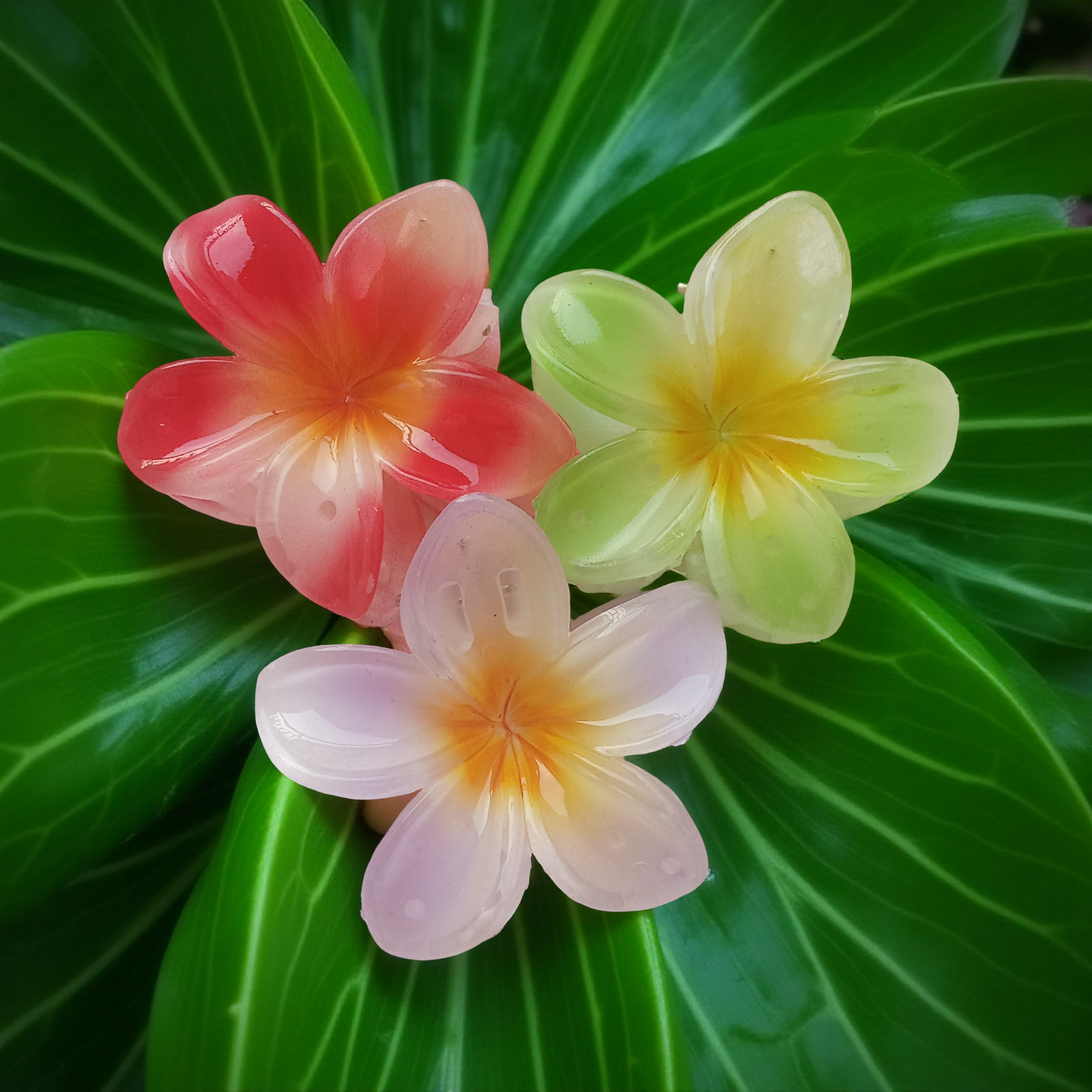 Plumeria Flower Hair Claw Clip, Set of 3Clips on green leafy background. Featuring tropical gradient designs in Lavender, Green and Red. Curated by Ladylike Accoutre.