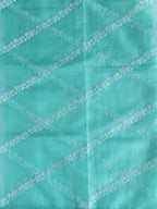 Aqua Green Muslin Silk Salwar Kameez Suit with Floral Embroidery & Organza Dupatta